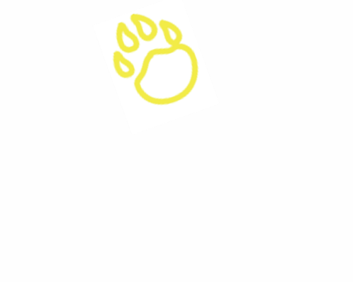 デューク　の　あしあと　ひだり